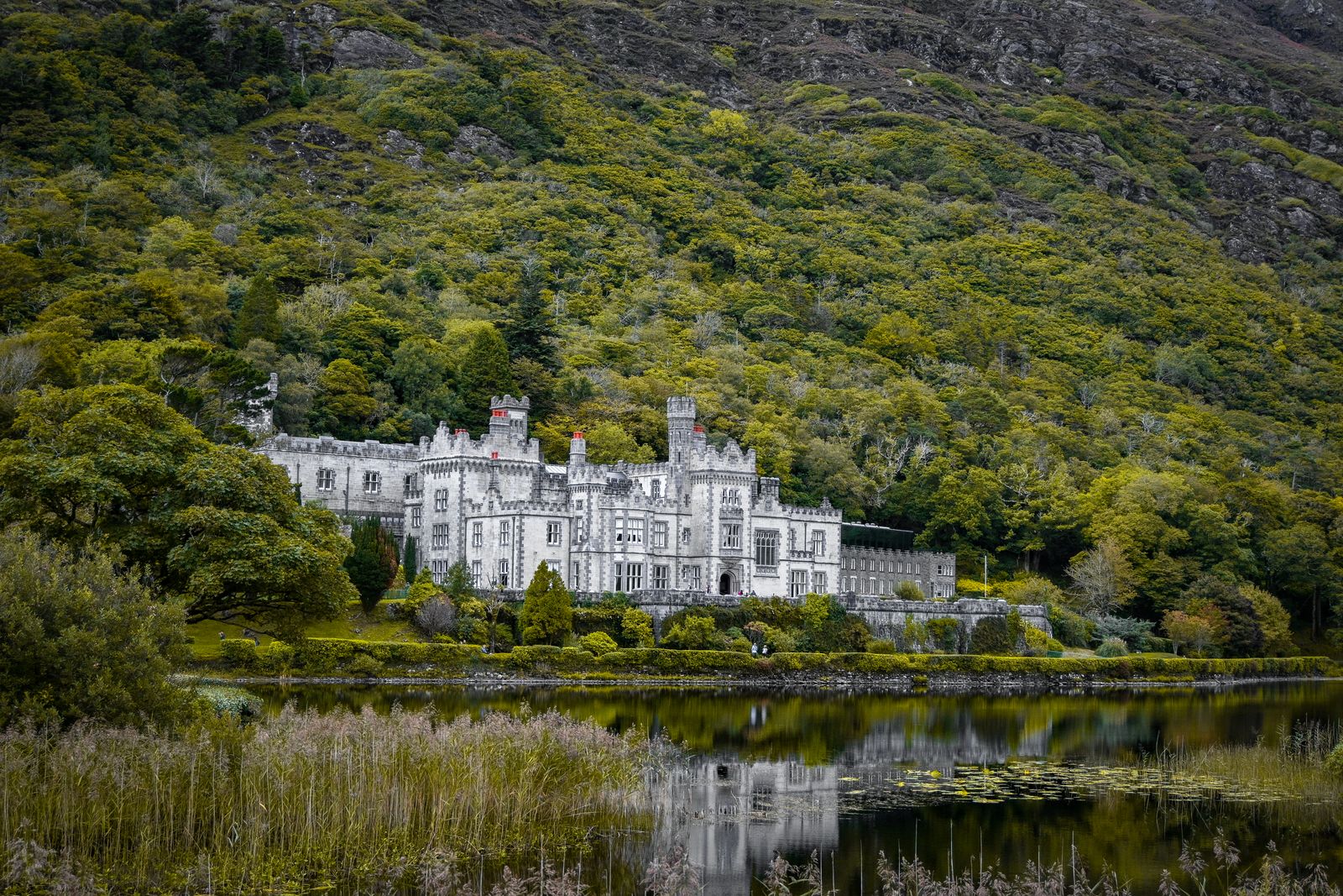L'abbaye néogothique de Kylemore reflétée dans les eaux calmes de son lac (photo : Pexels).