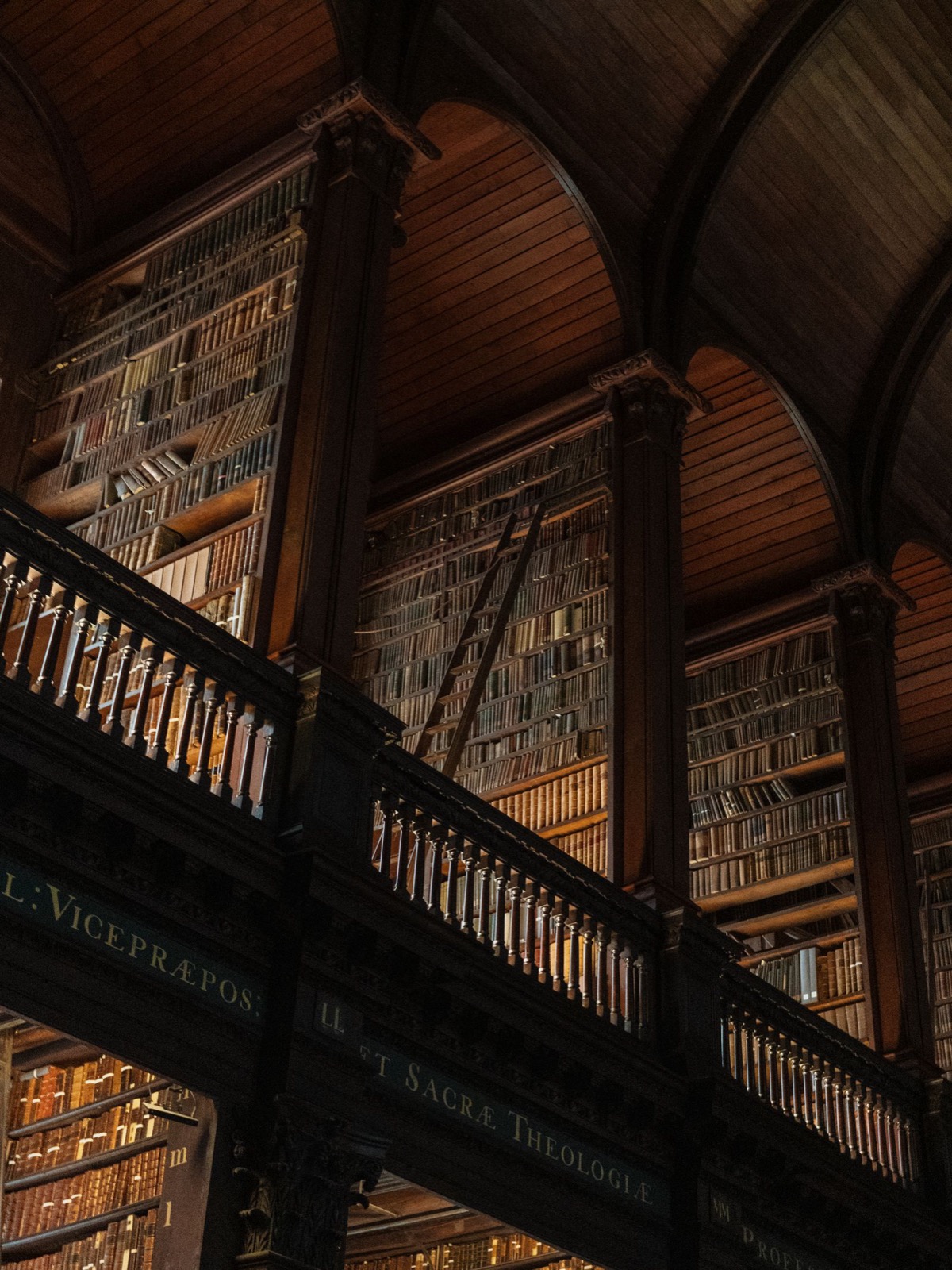 La Long Room de la bibliothèque de Trinity College (photo : Pexels).
