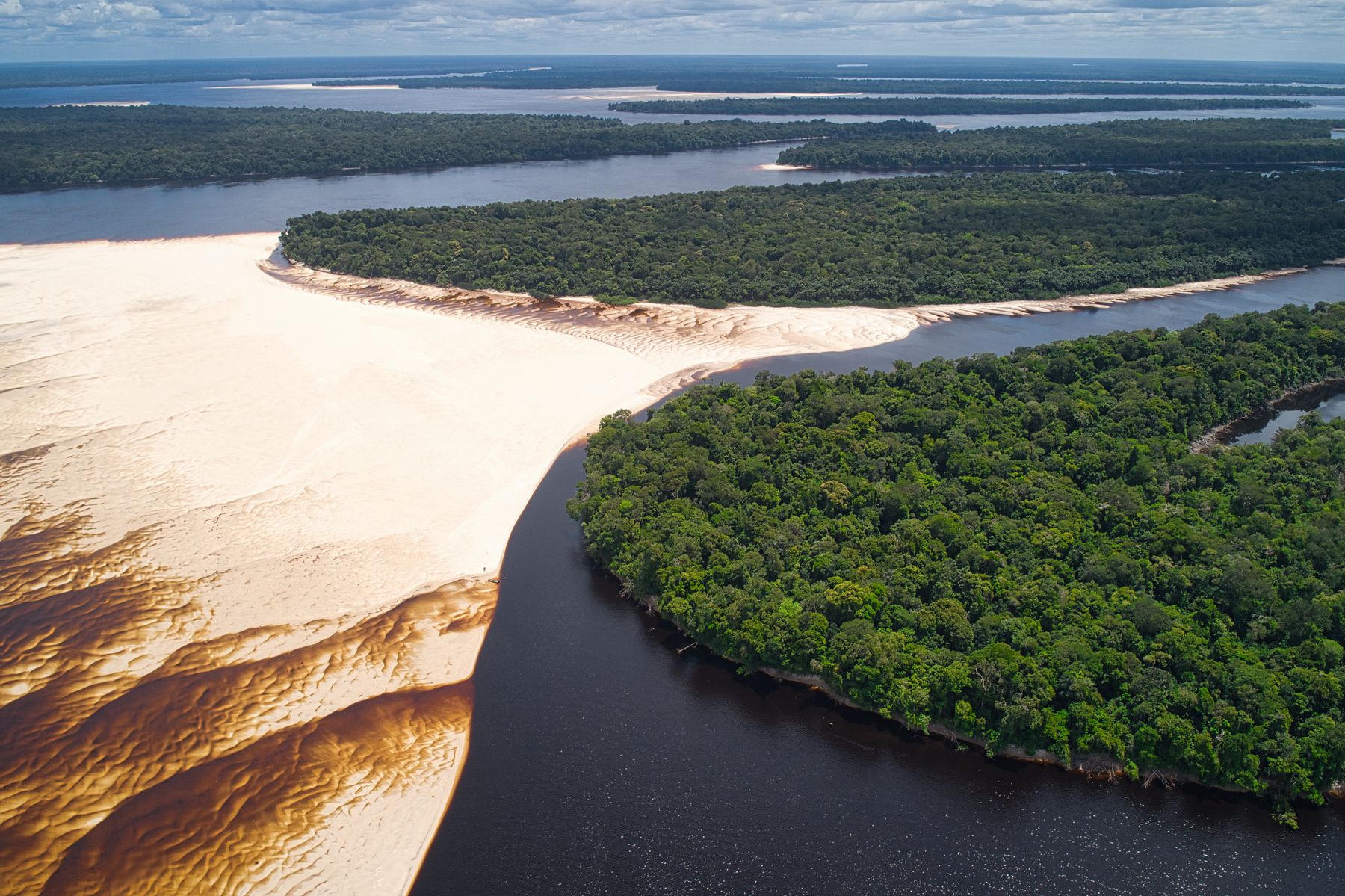 Les lodges sur pilotis, seules bases pour vivre la forêt au fil des affluents (photo : Pexels).