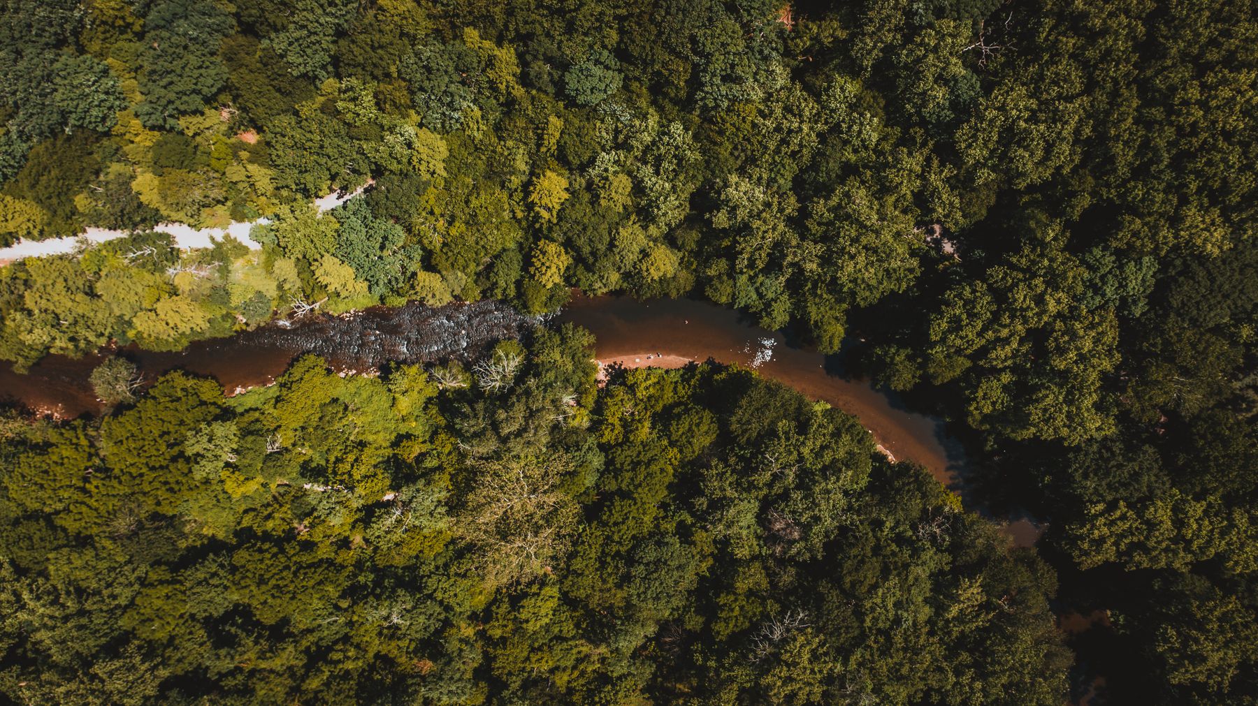 Le fleuve, autoroute et garde-manger des communautés riveraines de la forêt (photo : Pexels).