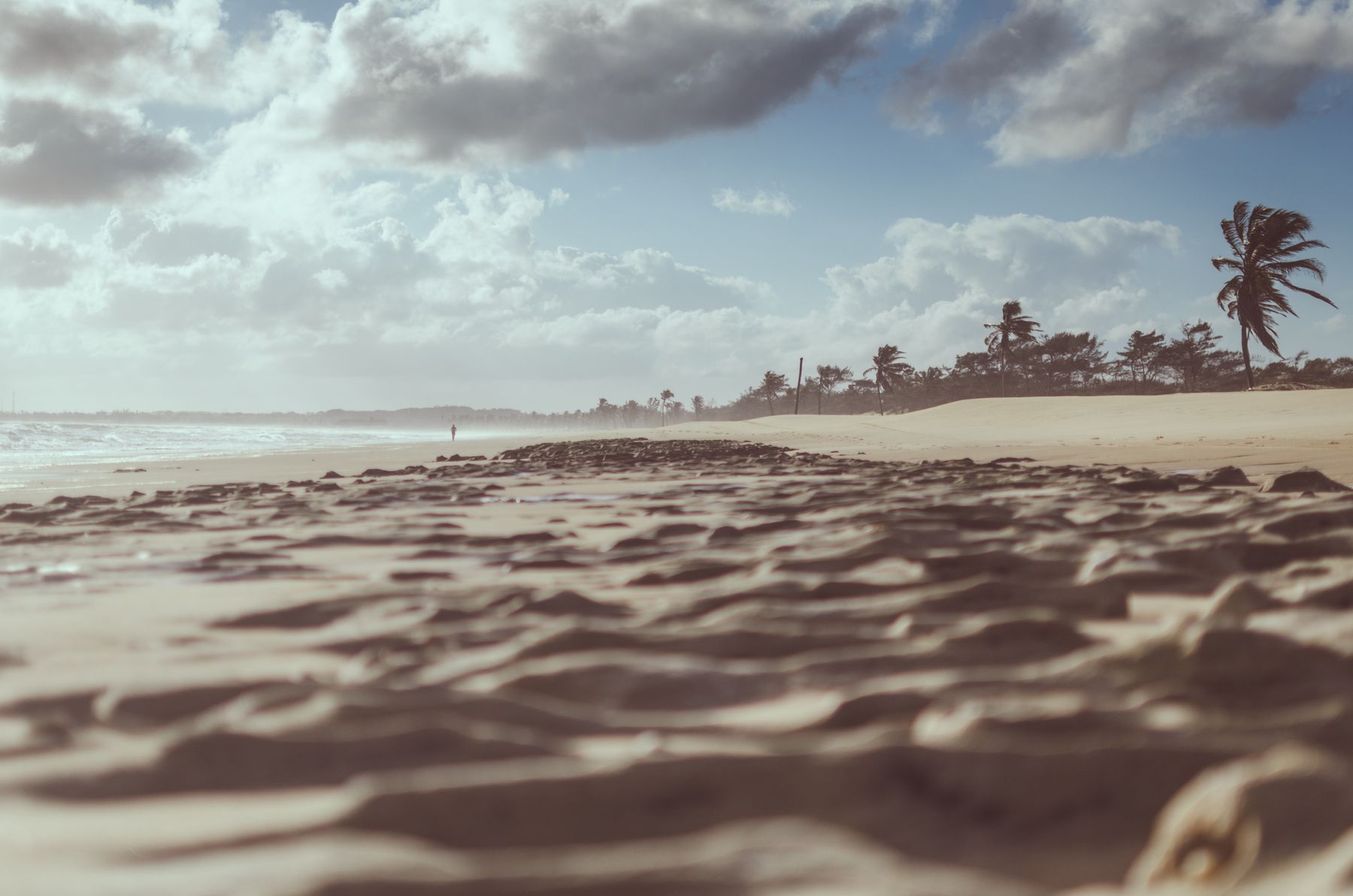 Les eaux turquoise et les falaises du littoral du Nordeste brésilien (photo : Pexels).