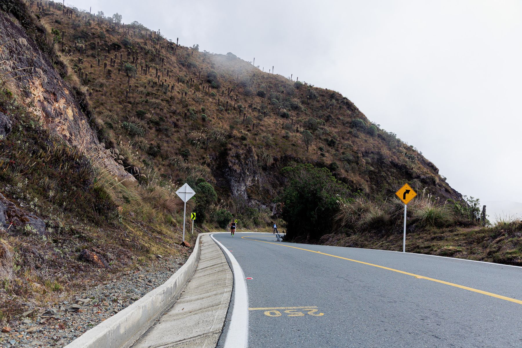 Descente à VTT sur la route des Yungas vers Coroico (photo : Pexels).