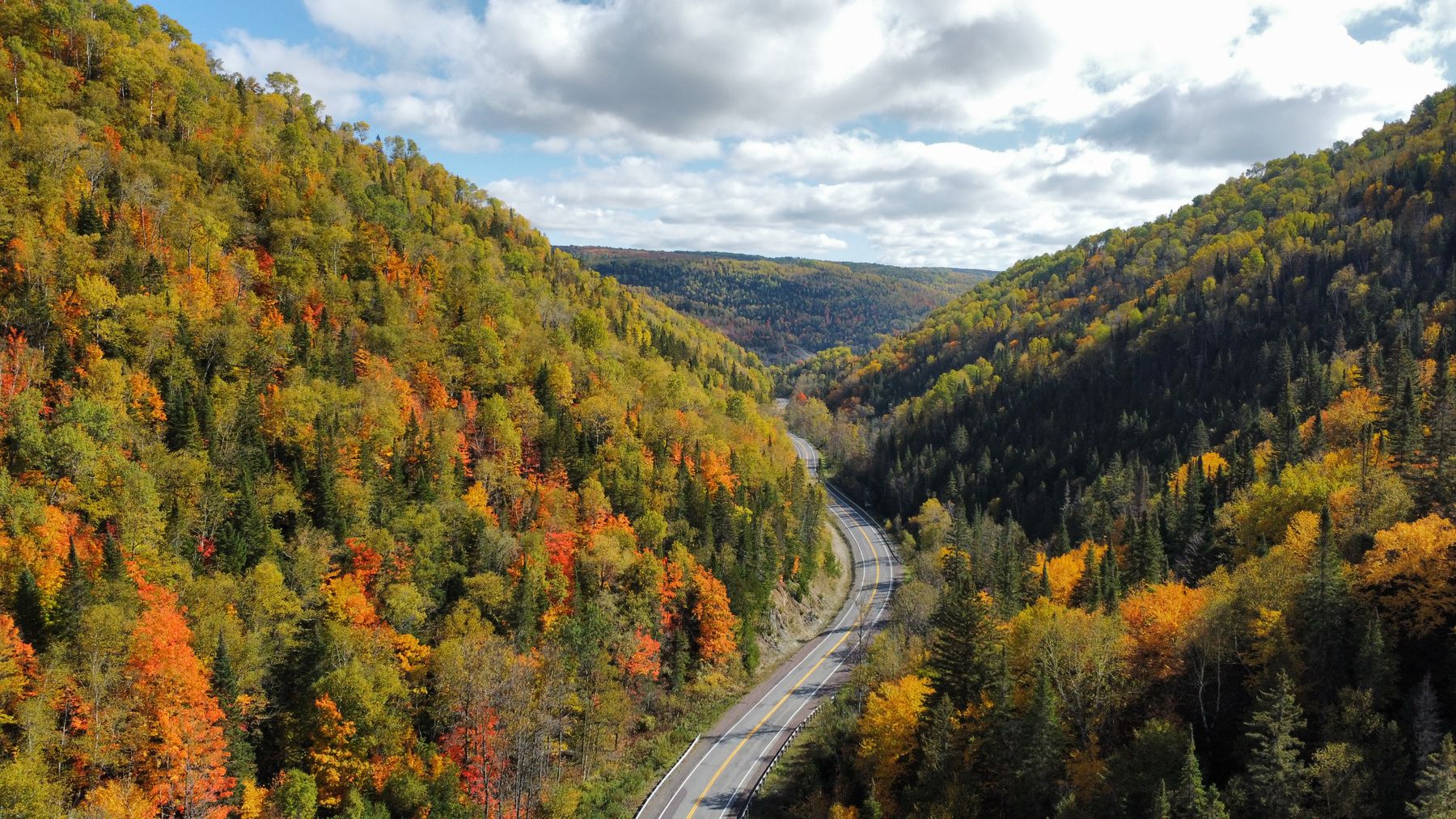 Les érables embrasés des Laurentides à l'automne (photo : Pexels).
