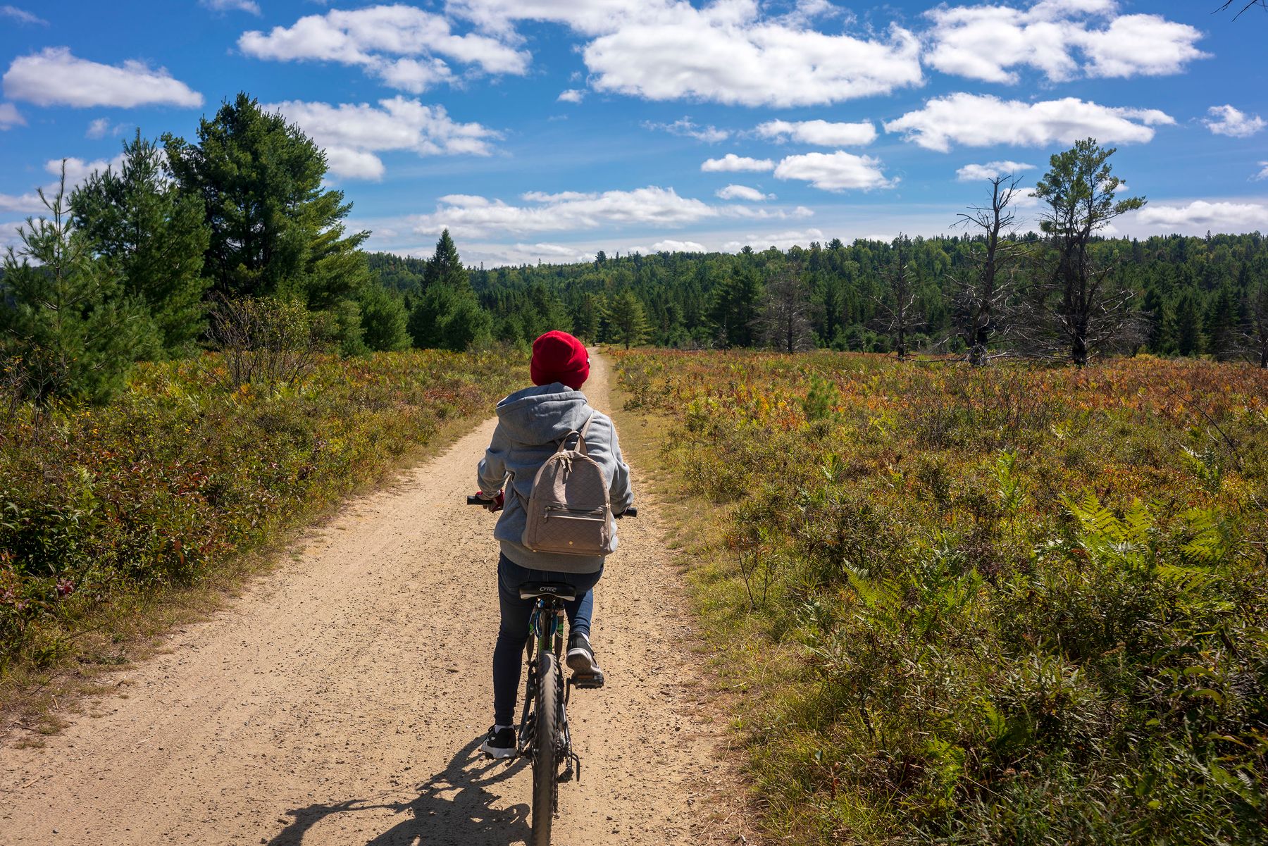 La piste cyclable aménagée sur l'ancienne voie ferrée (photo : Pexels).