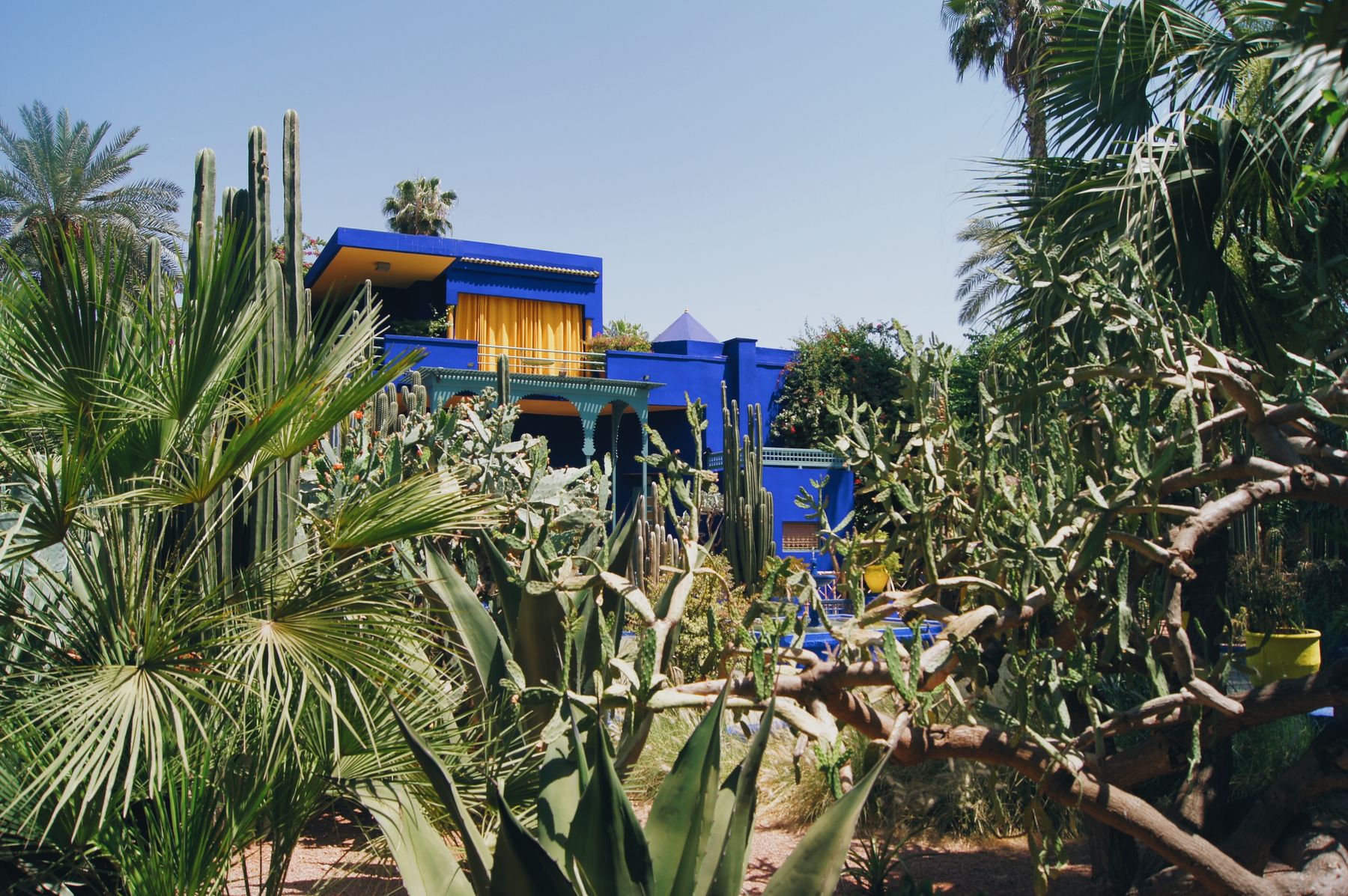 Le bleu Majorelle et les cactus du jardin le plus célèbre de la ville (photo : Pexels).
