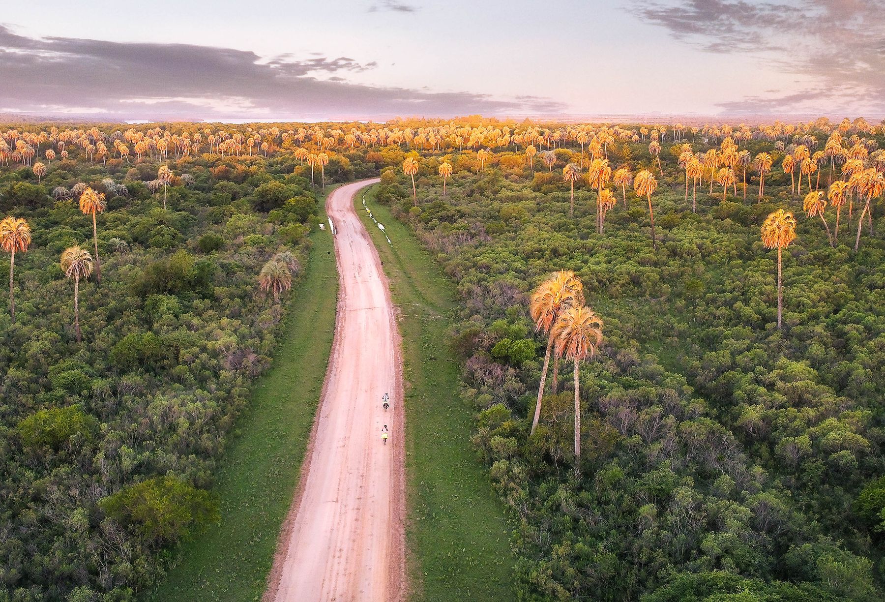 La route de terre de la Transpantaneira traverse les marais du Pantanal nord sur ses ponts de bois (photo : Pexels).