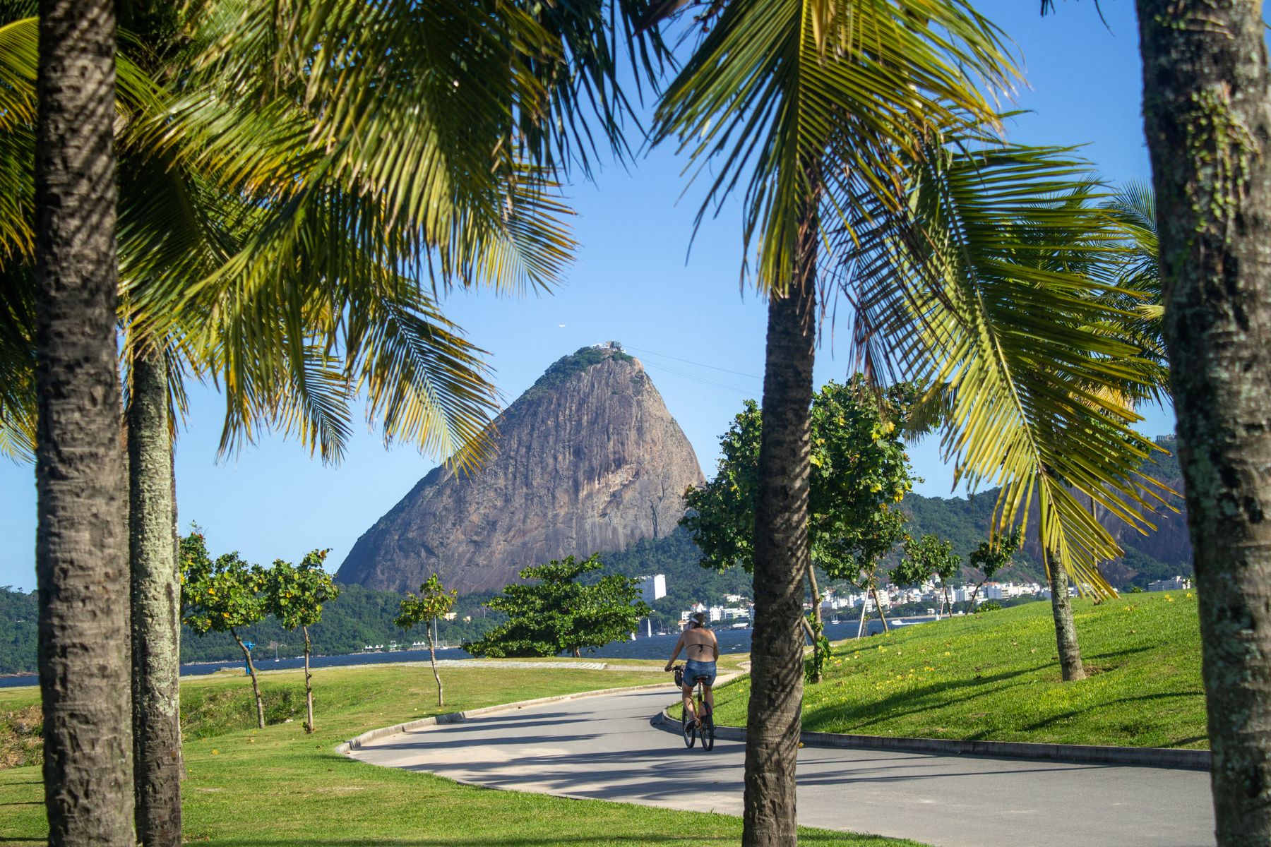 Le Pain de Sucre surgit de la baie de Guanabara (photo : Pexels).