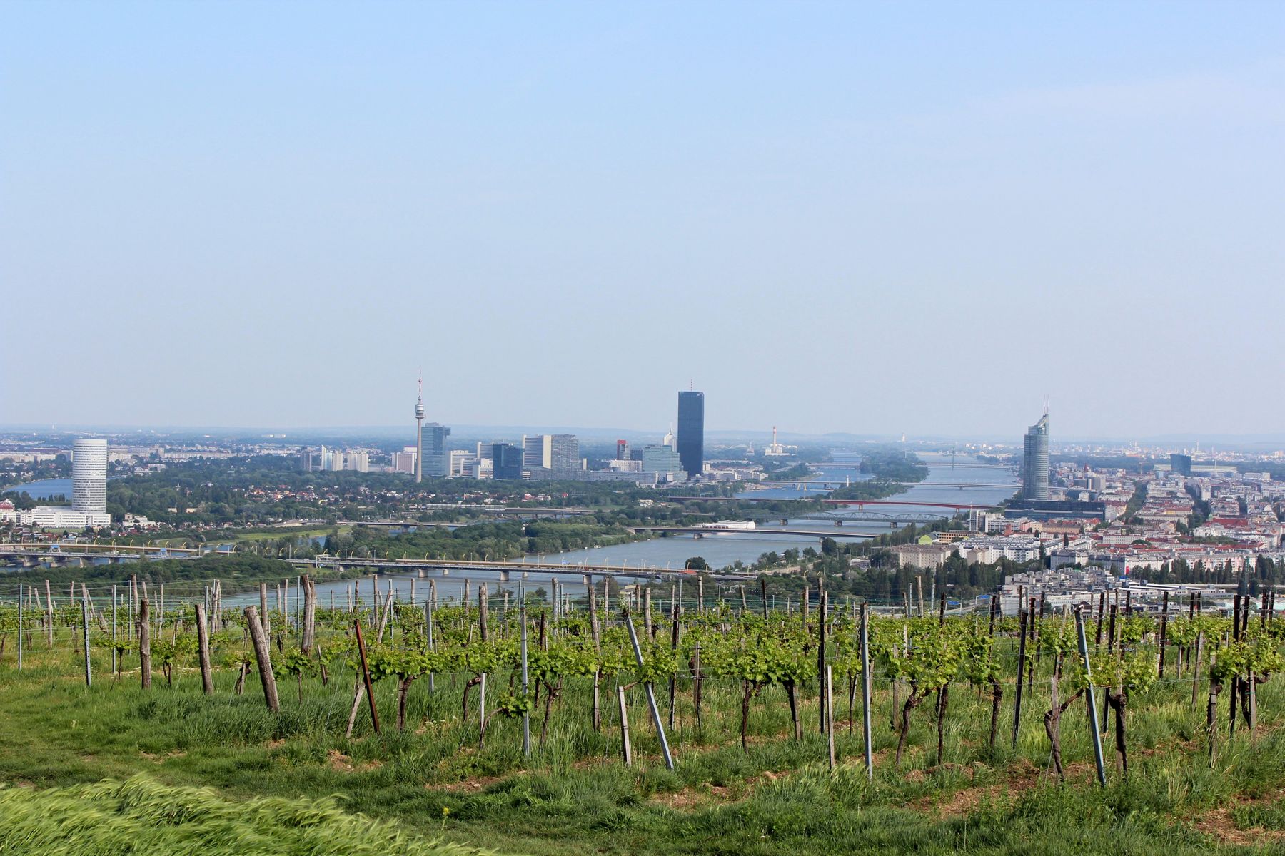 Les terrasses de vignes escaladent les coteaux au-dessus des villages viticoles (photo : Pexels).